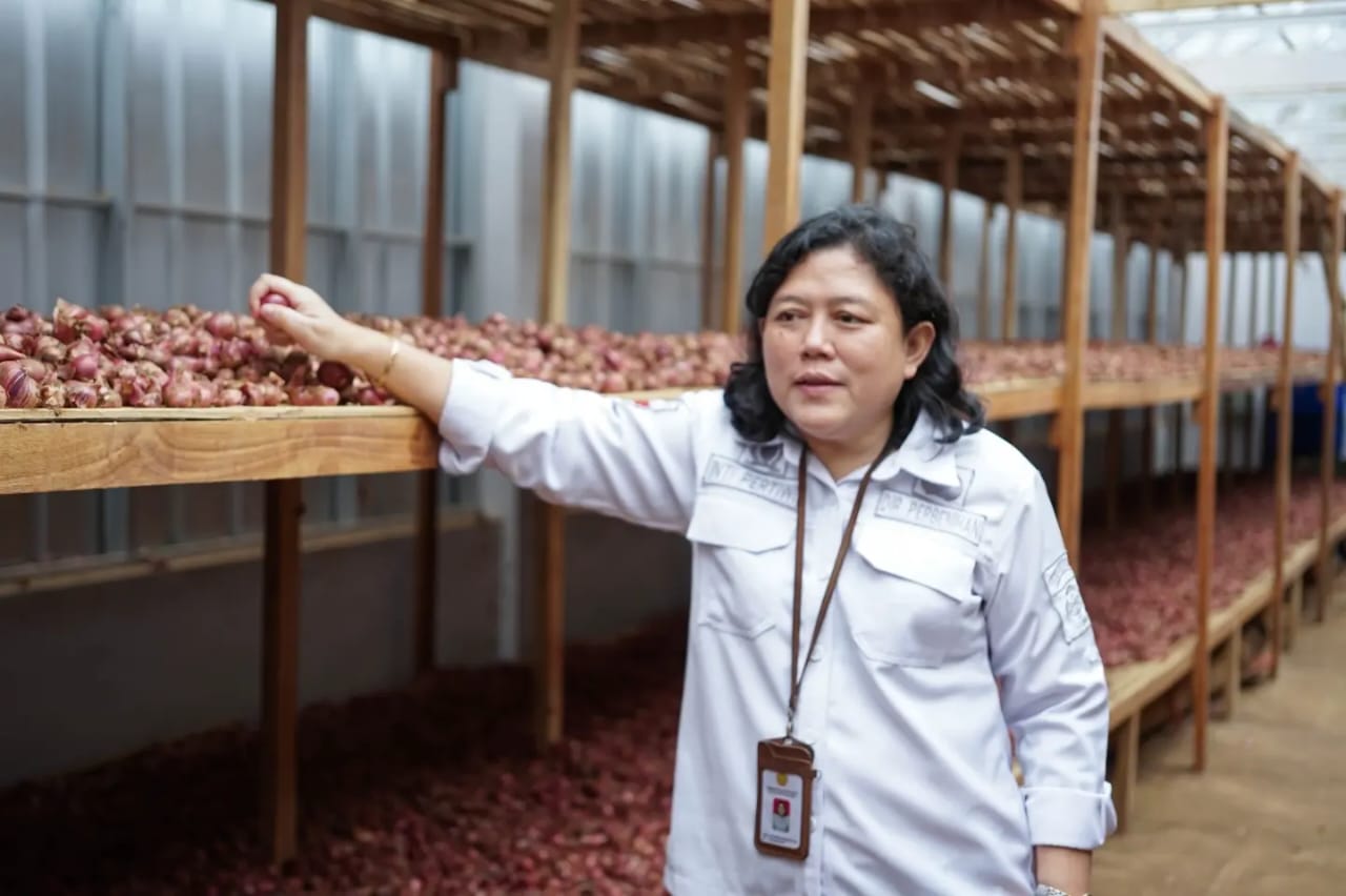 Bawang merah asal Cimenyan Bandung akan membanjiri pasar menjelang lebaran 2023