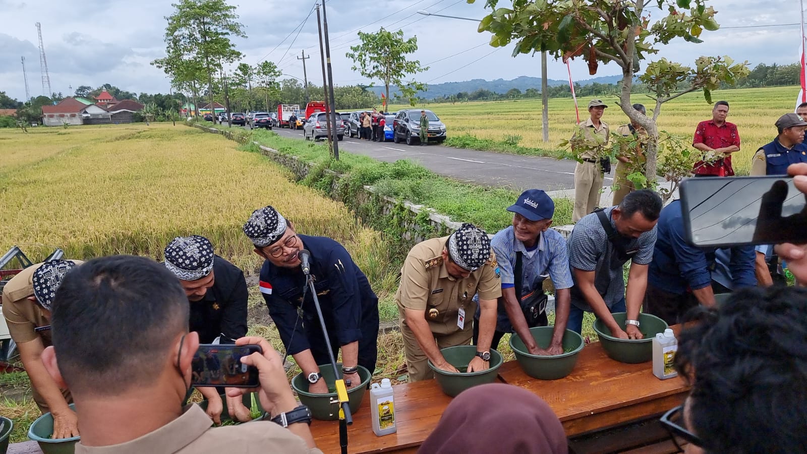 Jateng Mulai Panen, Mentan SYL Pastikan Stok Beras Aman