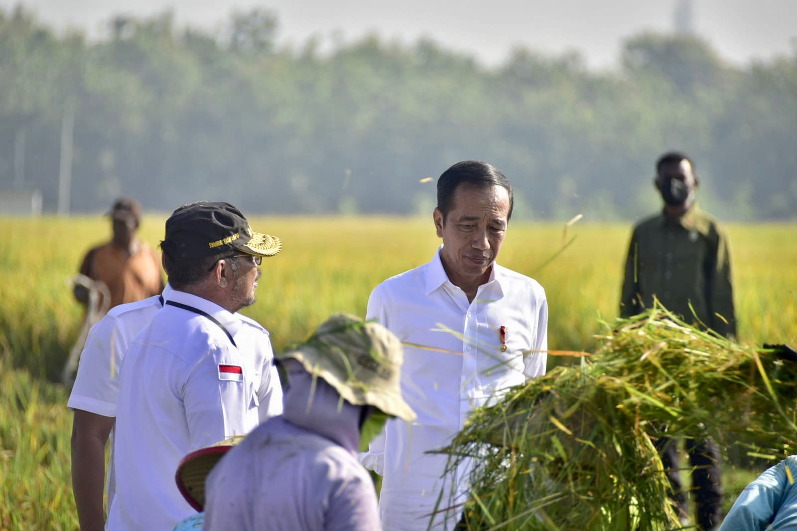 Panen Raya Ngawi, Presiden Ajak Petani Percepatan Tanam