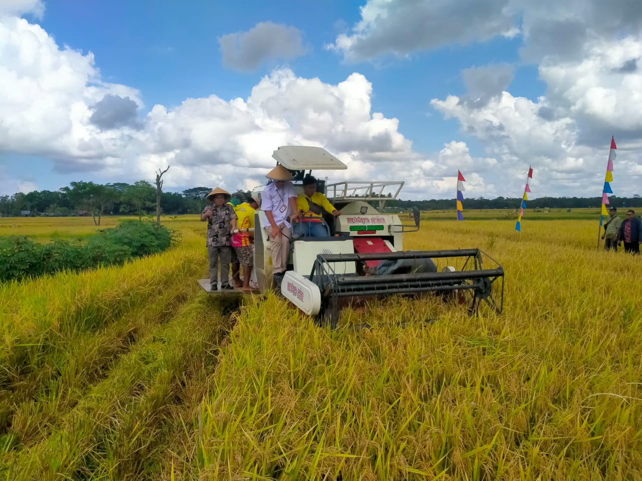 Purworejo Pastikan Produktivitas Padi Meningkat