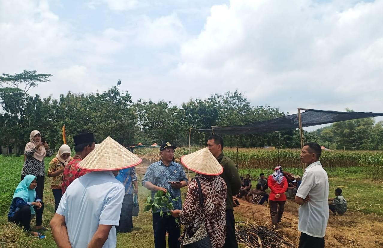 Dorong Pertanian Presisi Melalui Sekolah Lapang Kedelai di Gunung Kidul