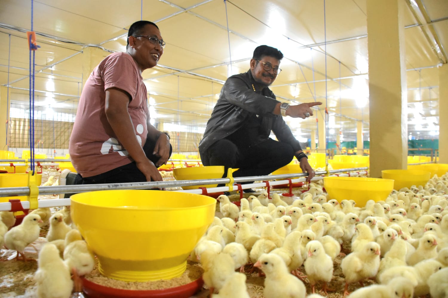 Mentan SYL Terapkan Role Model Penerapan Sistem Hulu – Hilir Ayam Broiler di Gowa