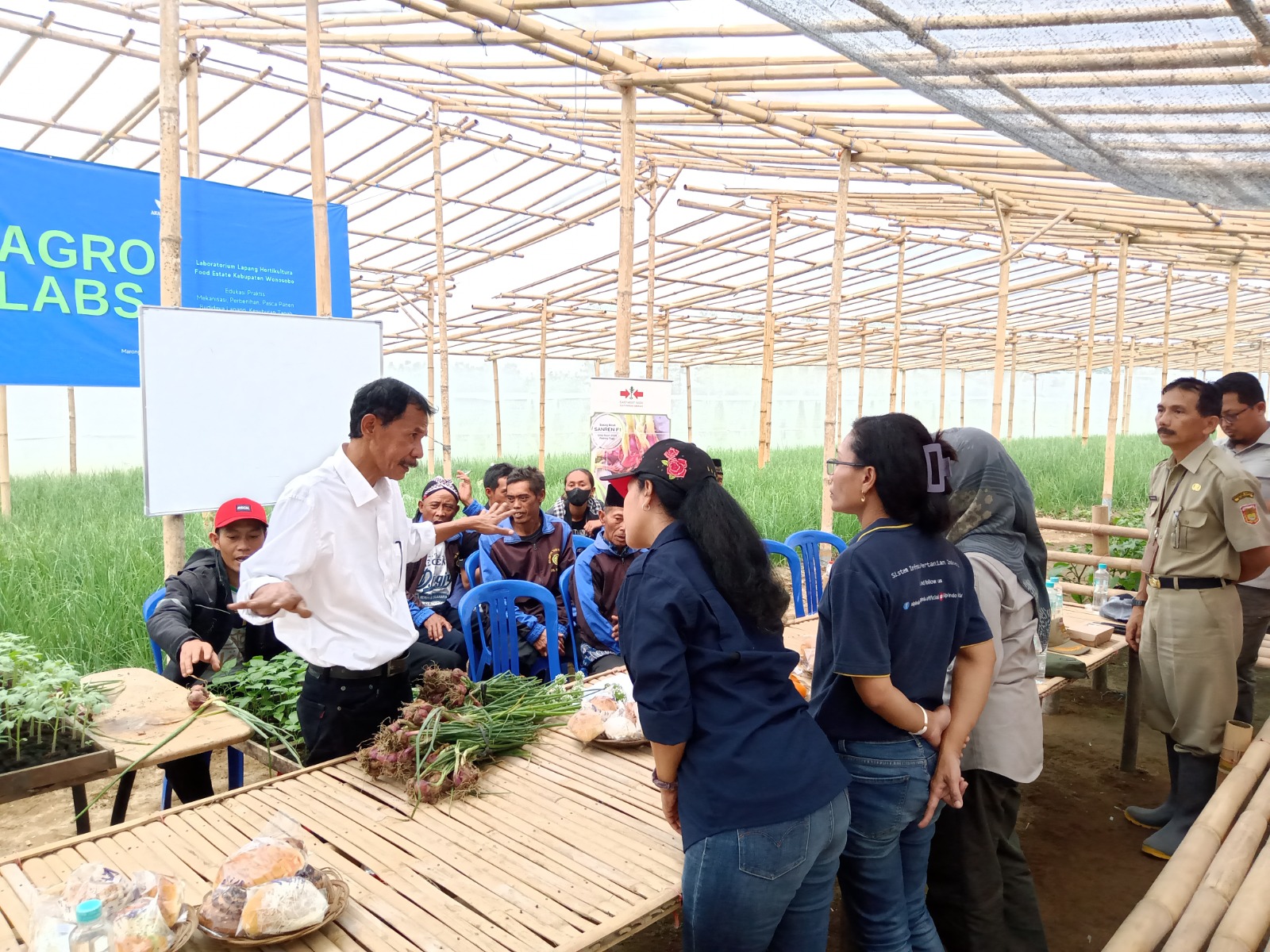 TSS dan Soil Block Seedling, Strategi Amankan Ketersediaan Bawang Merah Nasional