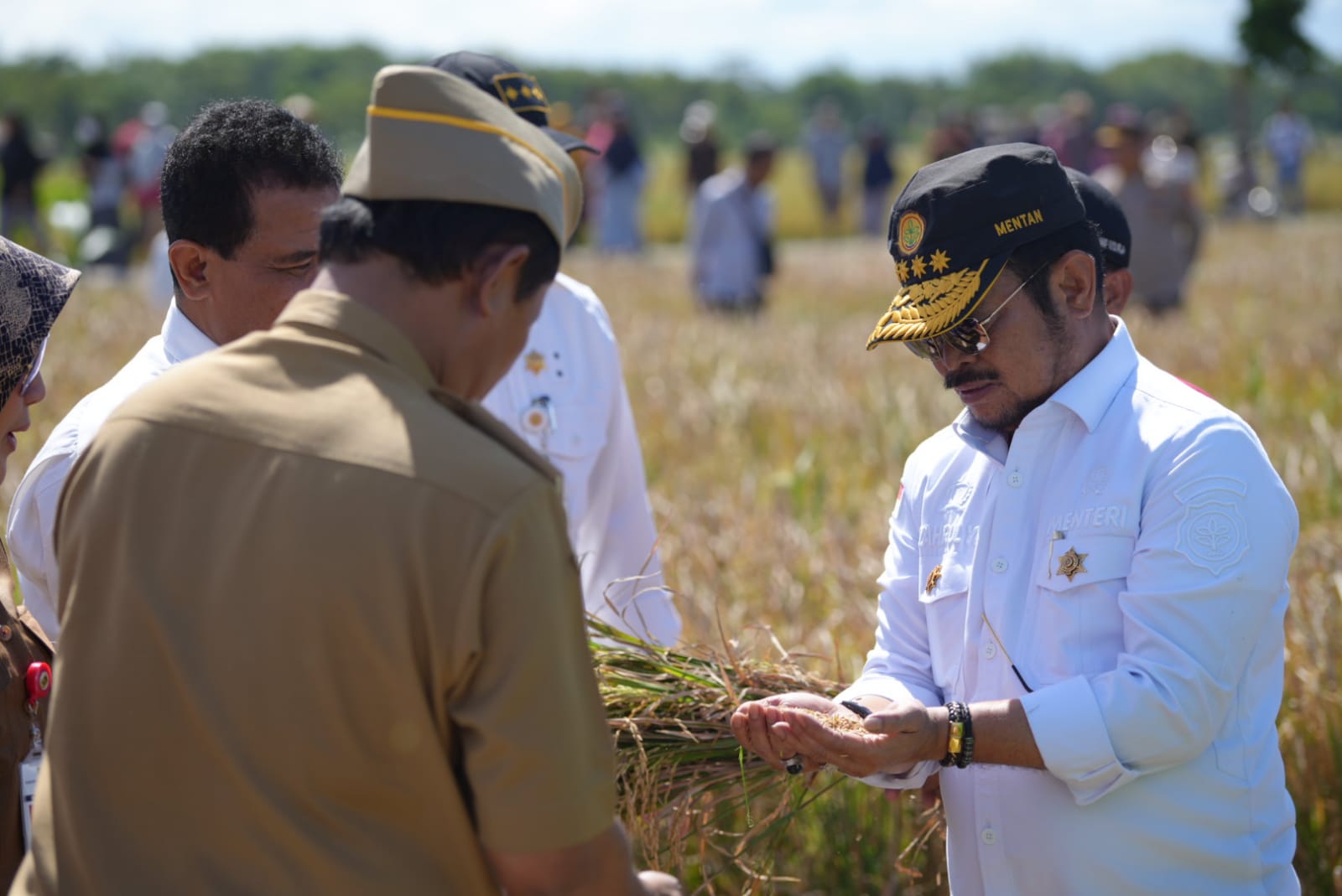 Panen Padi IP400 Dengan Aplikasi Biosaka Sukses, Produktivitas Petani Klaten Meningkat