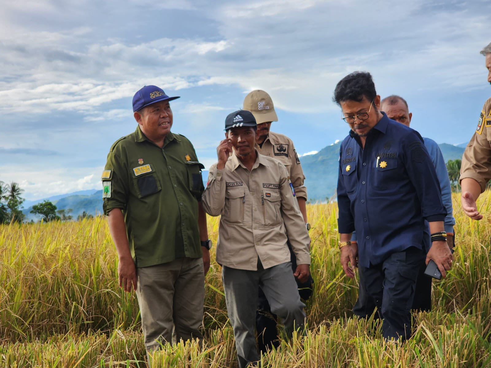 Mentan SYL : Panen Padi di Pinrang, Lampaui Target Produksi Nasional