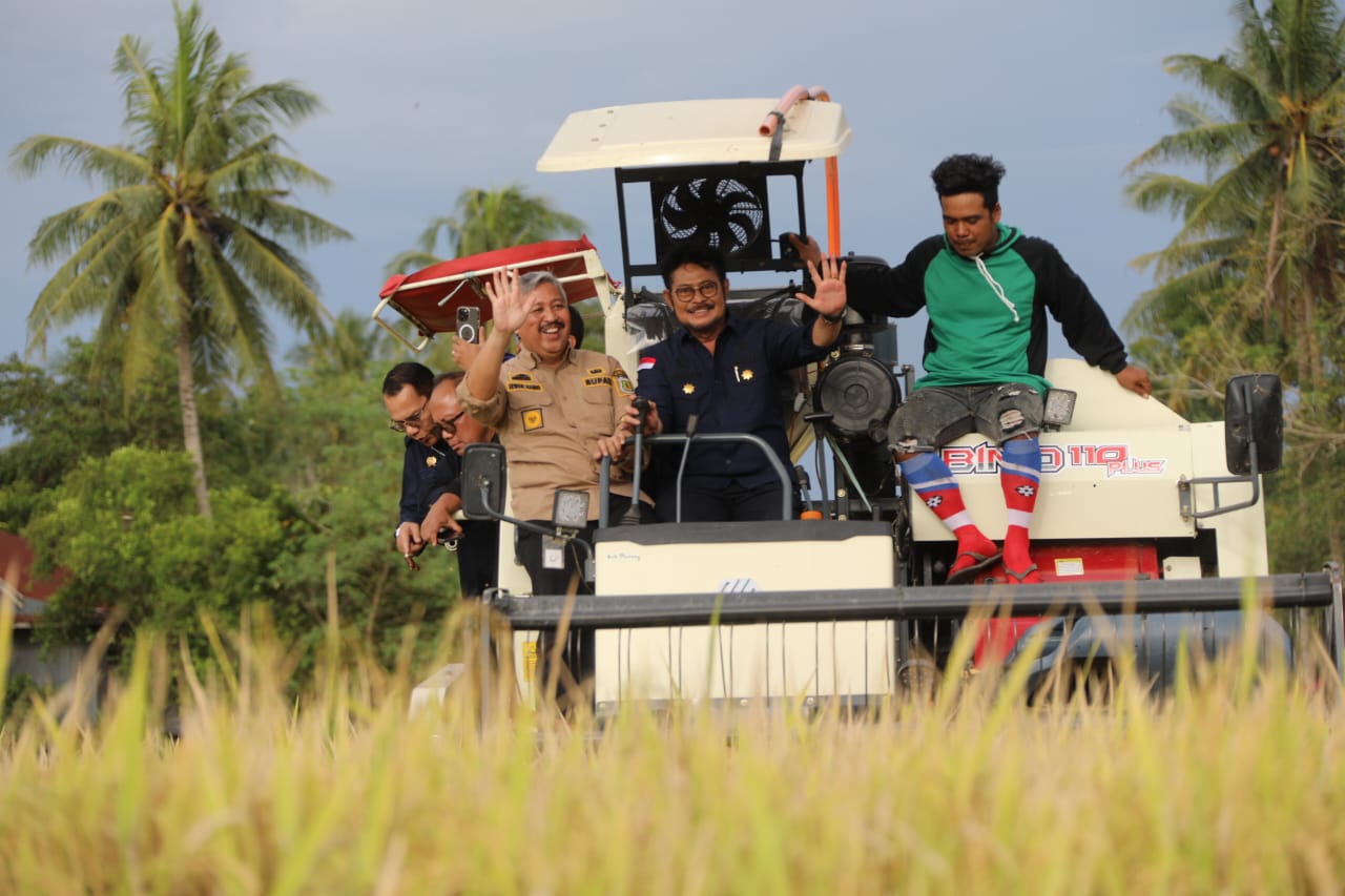 Usai Panen Raya, Mentan SYL Dorong Petani di Kabupaten Pinrang Segera Percepat Masa Tanam