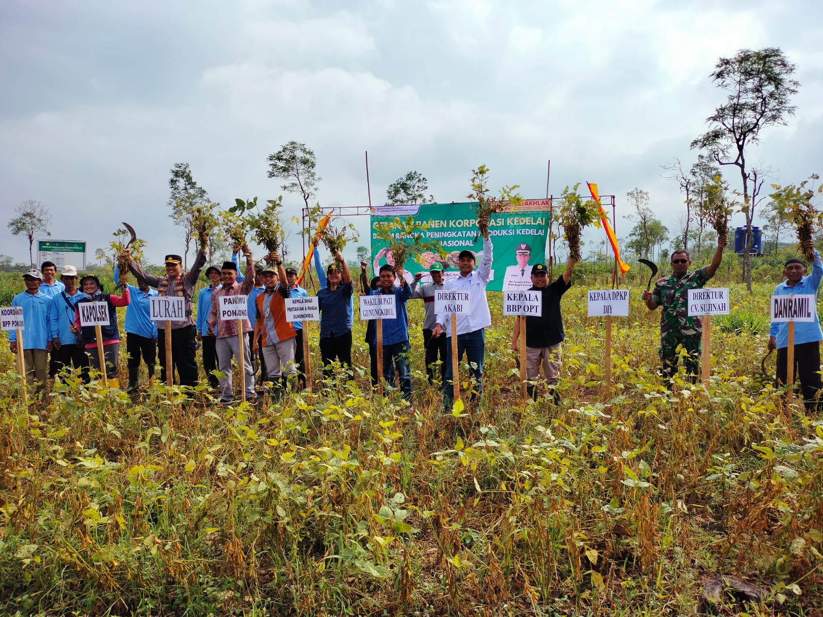 Panen Perdana Kedelai pada Lahan Korporasi Pertanian Presisi di Gunung Kidul