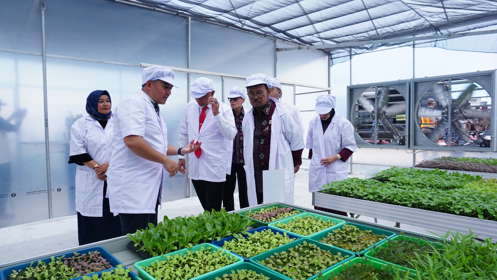Smart Green House : Teknologi Masa Depan Ramah Lingkungan dan Tinggi Produktivitas