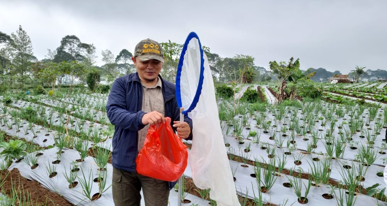 Jaga Keseimbangan Ekosistem Pertanian, Kementan Inventarisasi Musuh Alami