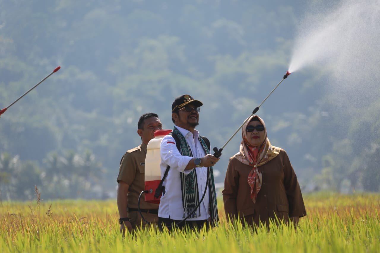 Panen Padi Di Lombok Barat, Mentan SYL Ajak Petani Bersama Hadapi EL Nino