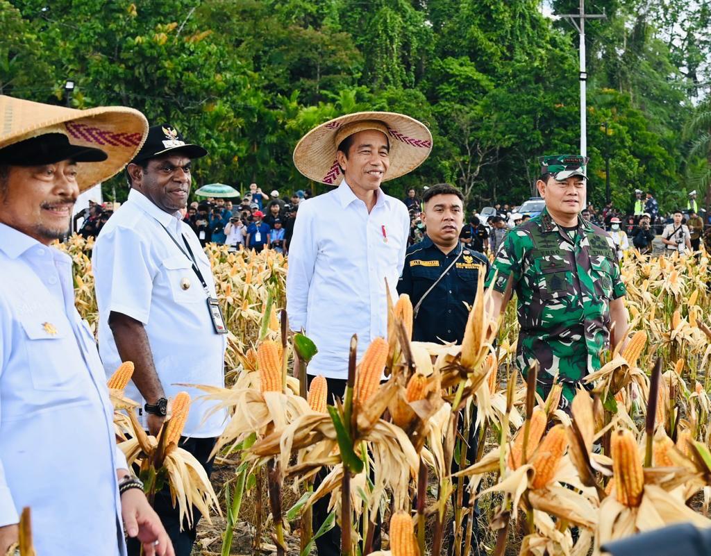 Food Estate Papua Berkembang Pesat, Bupati Keerom Apresiasi Tingginya Perhatian Kementan