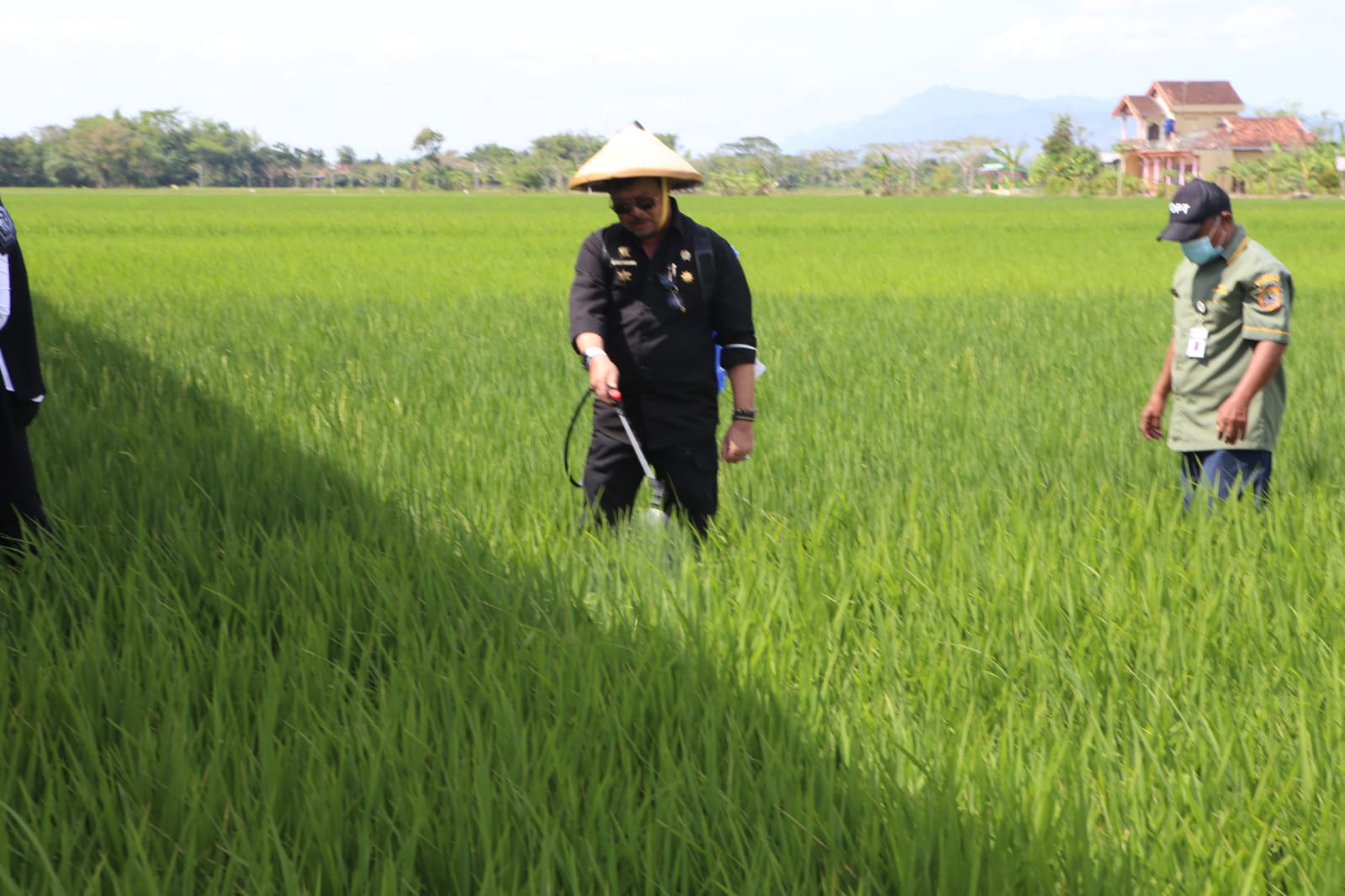BPS Sebut NTP Juli Naik Tinggi, Meningkat Signifikan Sejak 2021