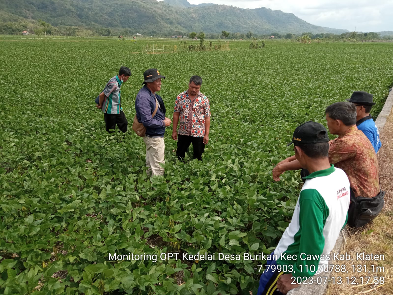 Petani Wonogiri Aplikan Biosaka Hasilkan 7,48 ton/Ha Padi