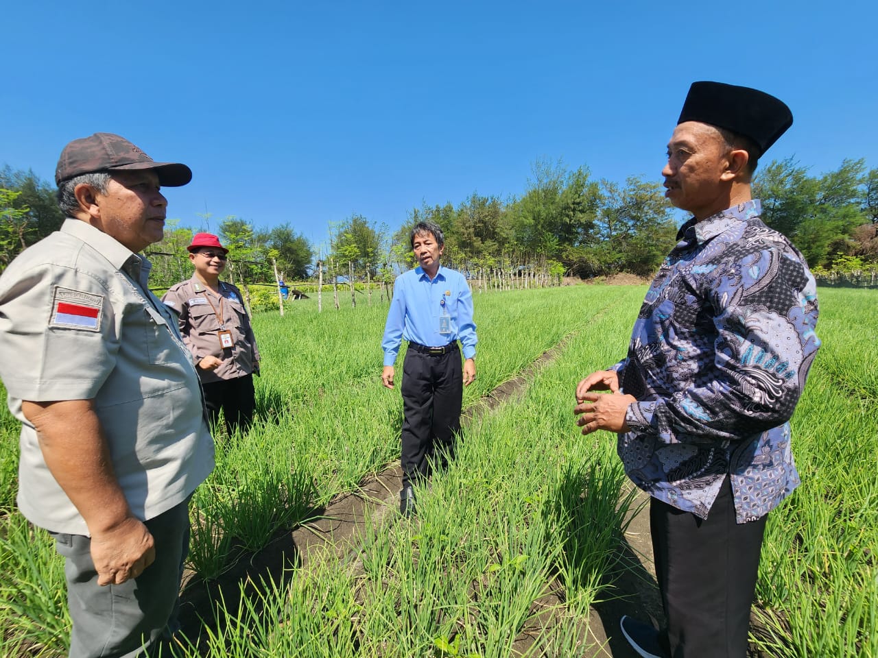Hadapi El Nino, Kementan Terapkan Aplikasi Teknologi Hemat Air Di Lahan Berpasir