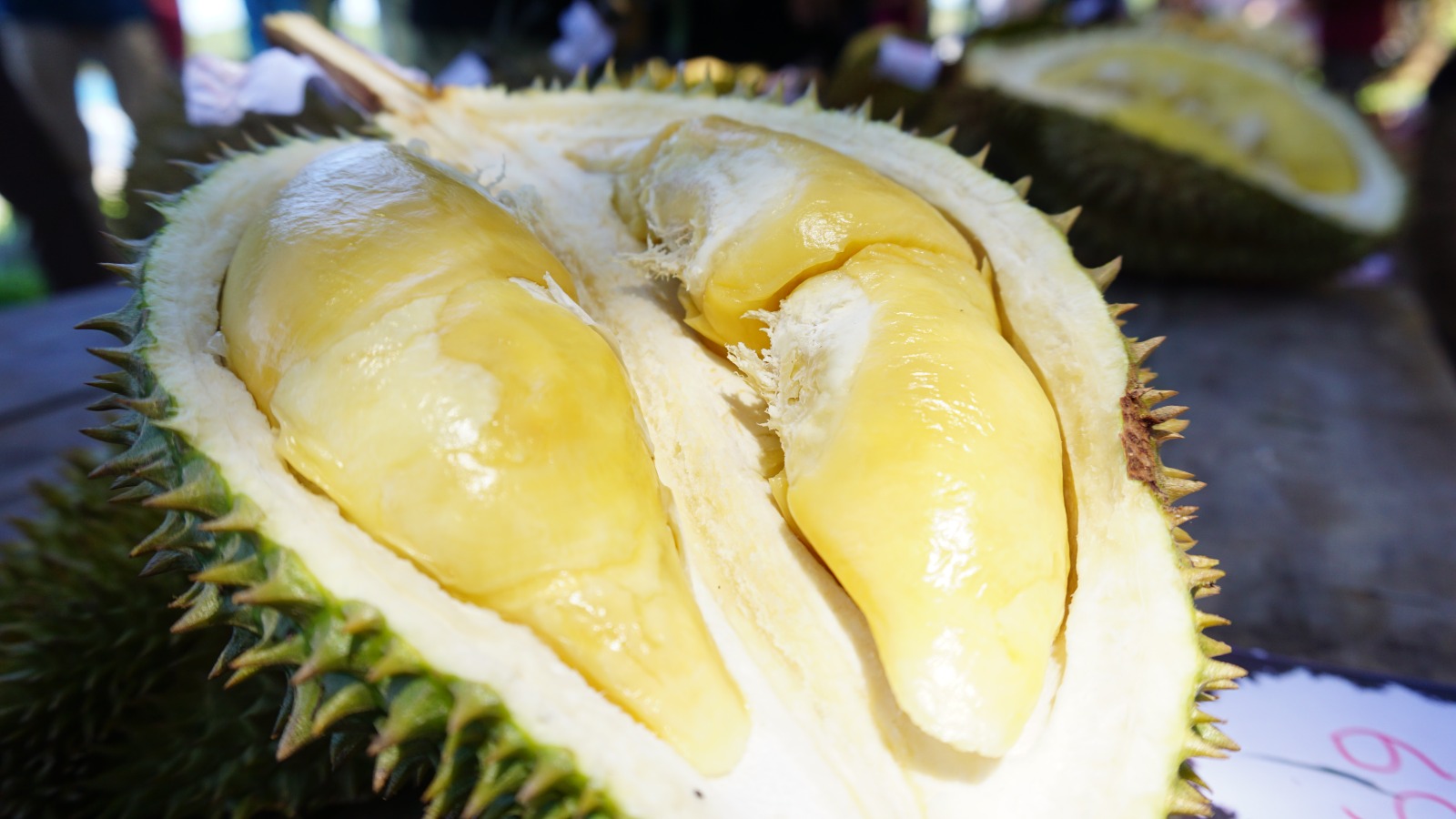 DITJEN HORTIKULTURA MENGINISIASI PENYUSUNAN PEDOMAN PASCAPANEN DURIAN