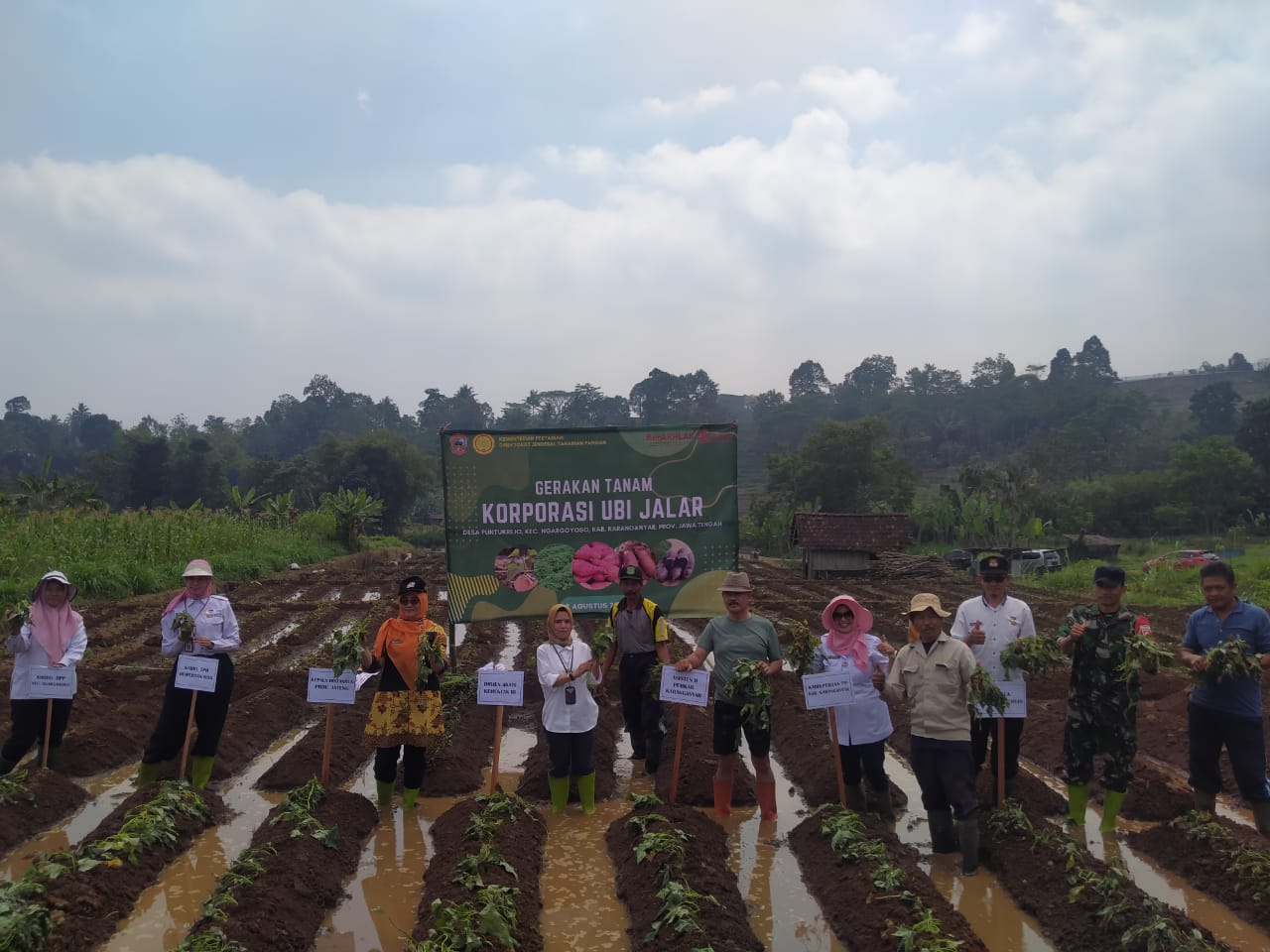 Kementan Terus Dorong Pengembangan Ubi Jalar berbasis Korporasi, Sejahterakan Petani di Karanganyar