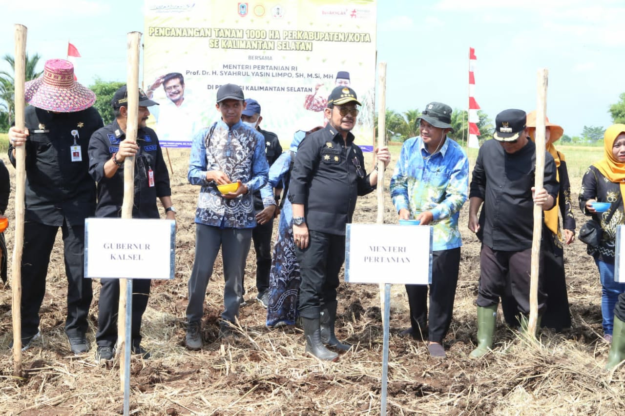 Mentan SYL Tinjau Langsung Panen dan Tanam Padi di Barito Kuala