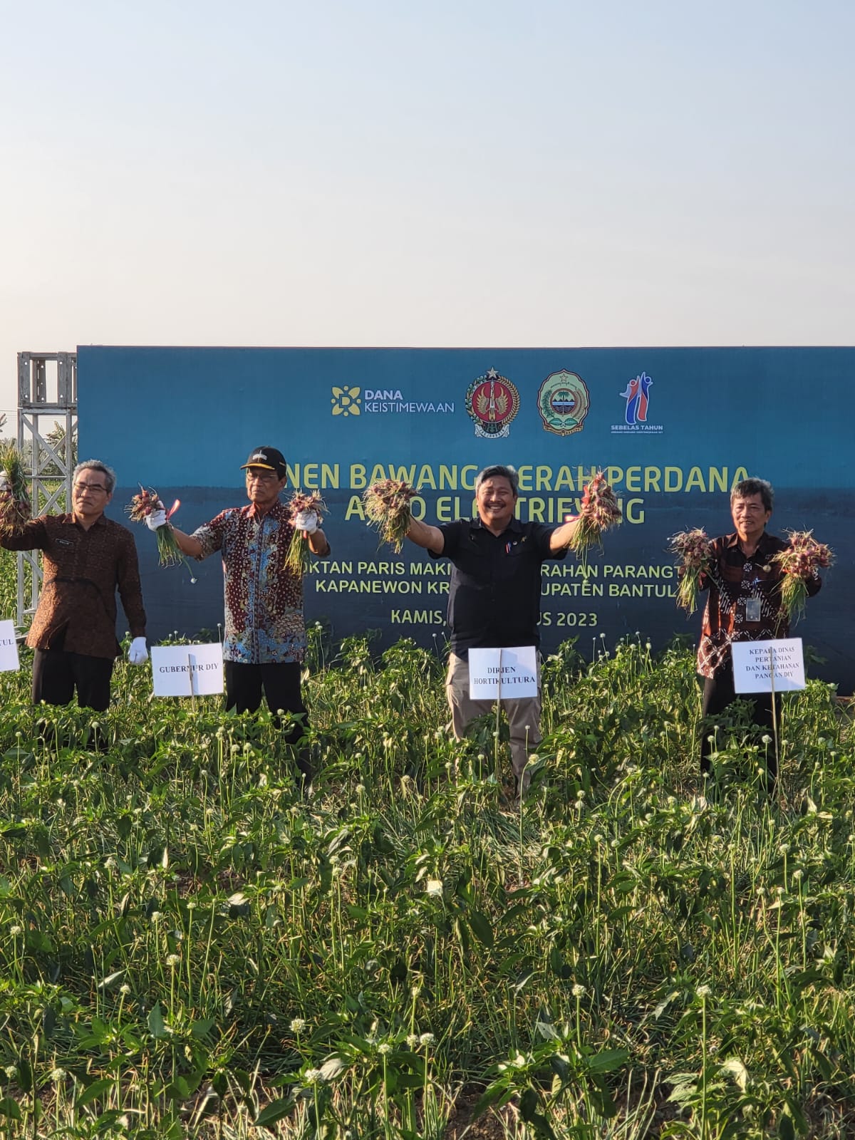 Panen Bawang Merah Agro Electrifying Parangtritis Hasilkan 20 ton/hektar