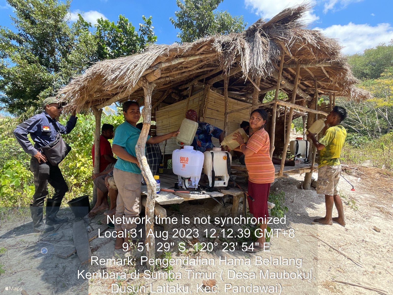 SINERGI BERBAGAI PIHAK DALAM MENGATASI HAMA BELALANG KEMBARA MELALUI MAPPING DAN PENGENDALIAN DI PULAU SUMBA