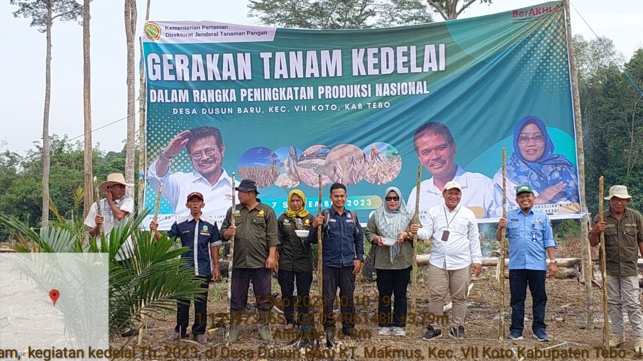 Dukung Peningkatan Produksi Nasional, Jambi Lakukan Gerakan Tanam Kedelai.