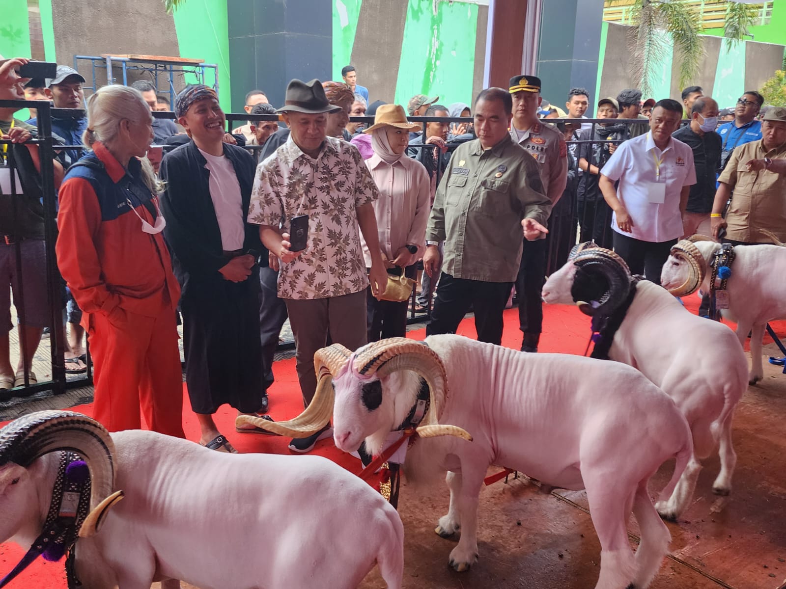 Kementan Apresiasi HPDKI Akselerasikan Pengembangan Domba dan Kambing di Indonesia melalui Sistem Close Loop