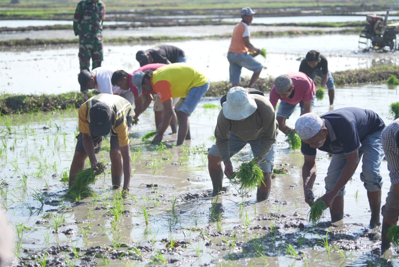 Mentan SYL di Gernas El Nino Bone: Kita Harus Makin Inovatif
