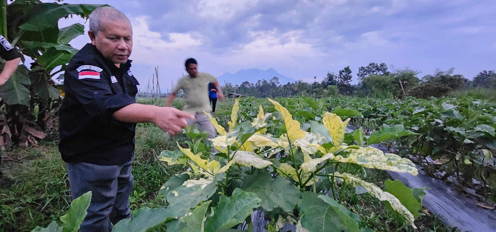 Kolaborasi Perguruan Tinggi dan Kementan Mewujudkan Klinik PHT yang Tangguh