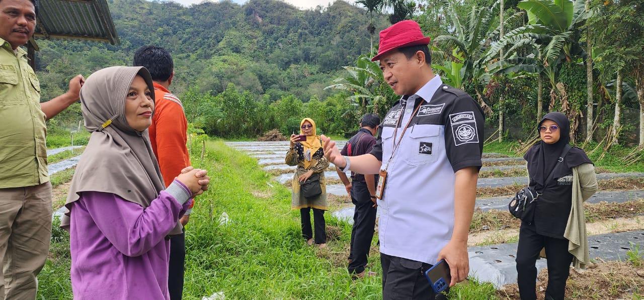 Kementan Sigap Hadapi Perubahan Iklim Lewat Sistem Peringatan Dini dan Pengelolaan Tanam Hortikultura (EWS SIPANTARA)