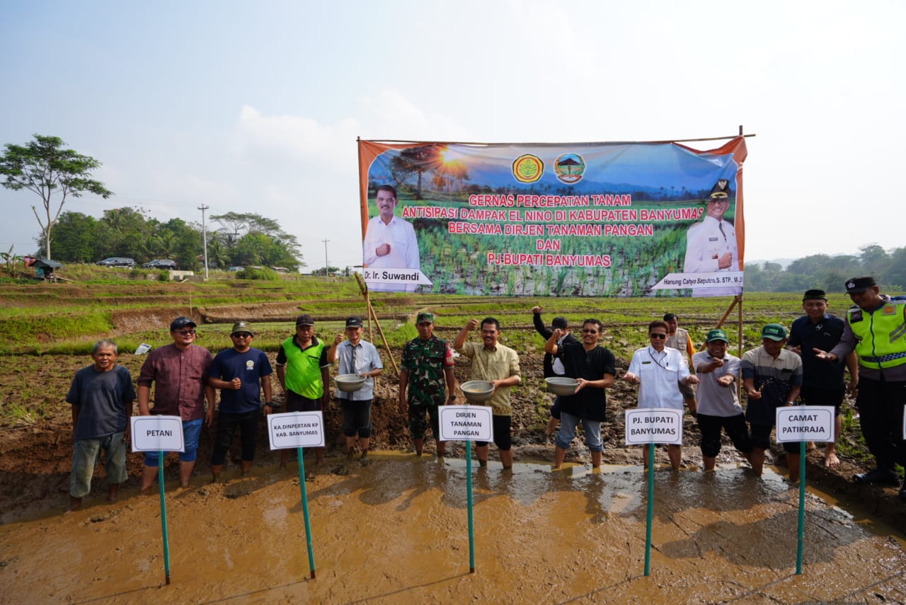 Fokus Tingkatkan Produksi Padi, Kementan Lakukan Percepatan Tanam Di Kabupaten Banyumas