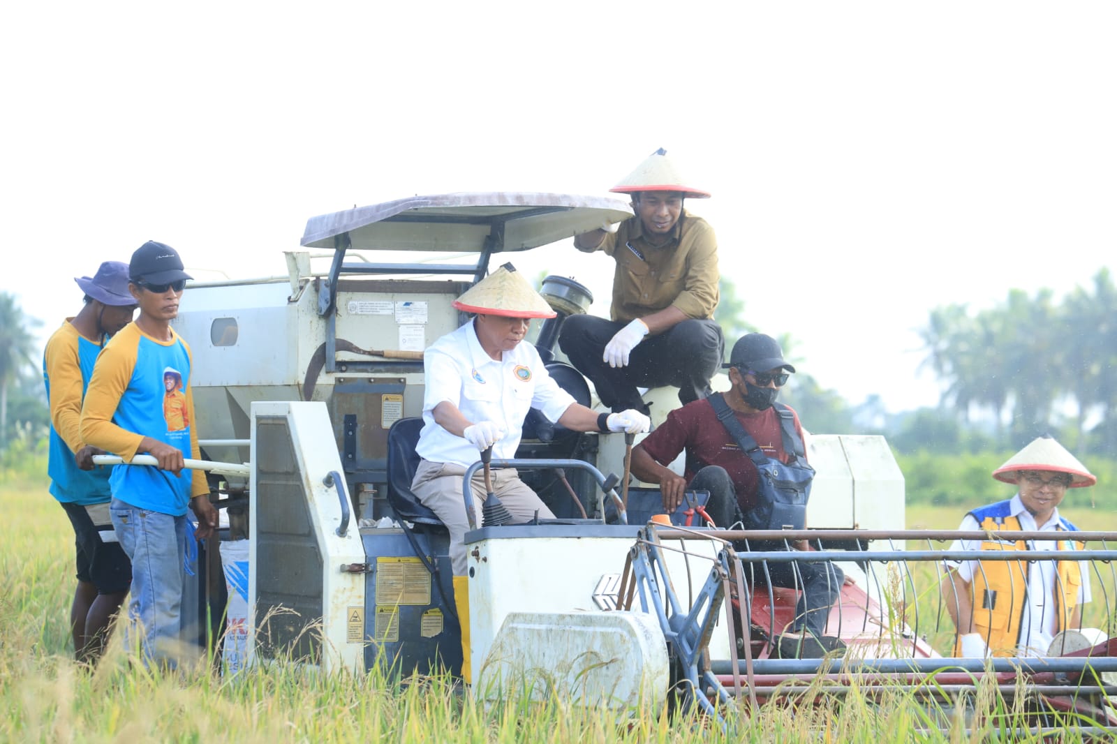 Kementan Apresiasi Upaya Peningkatan Ketahanan Pangan di Kabupaten Halmahera Tengah