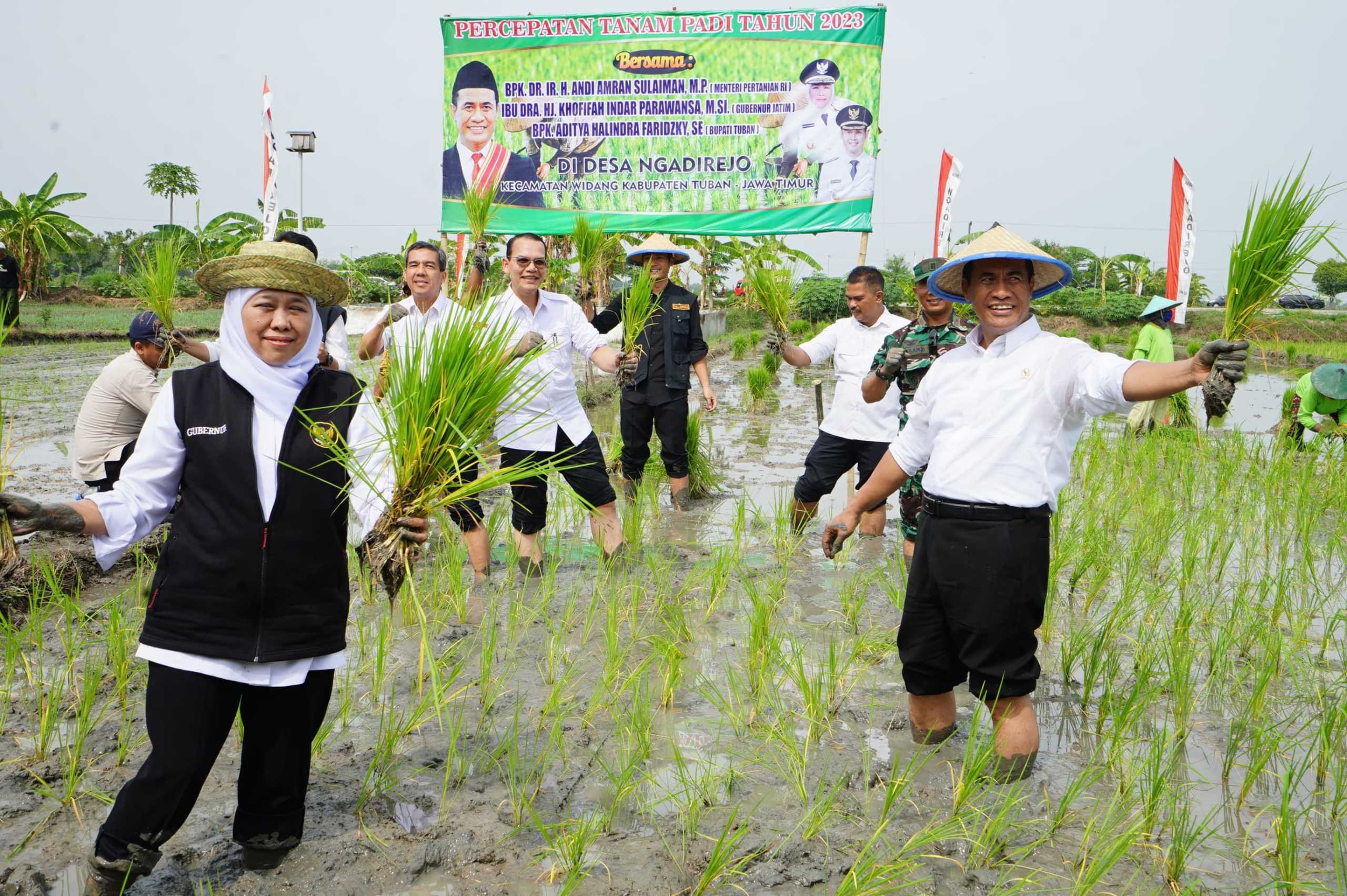 Demi Swasembada Pangan,Mentan Pastikan Jawa Timur Jadi Prioritas Pengembangan Pertanian