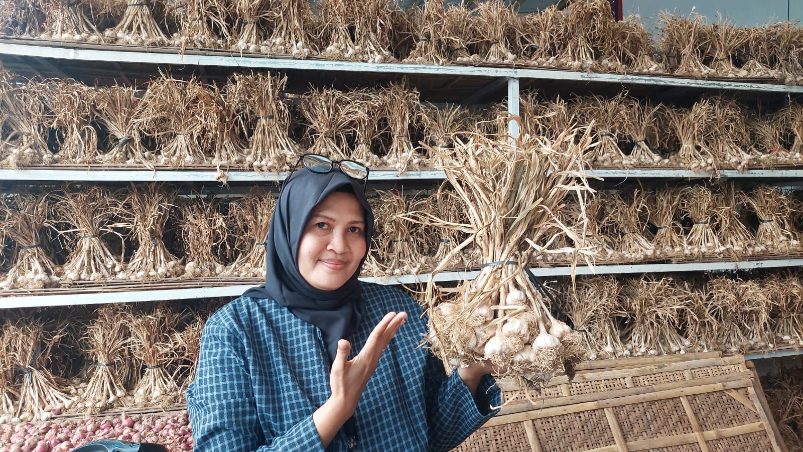 Kementan-Ombudsman Punya Semangat Sama Tingkatkan Produksi Bawang Putih  Kementan Pacu Terus Produksi Bawang Putih Dalam Negeri