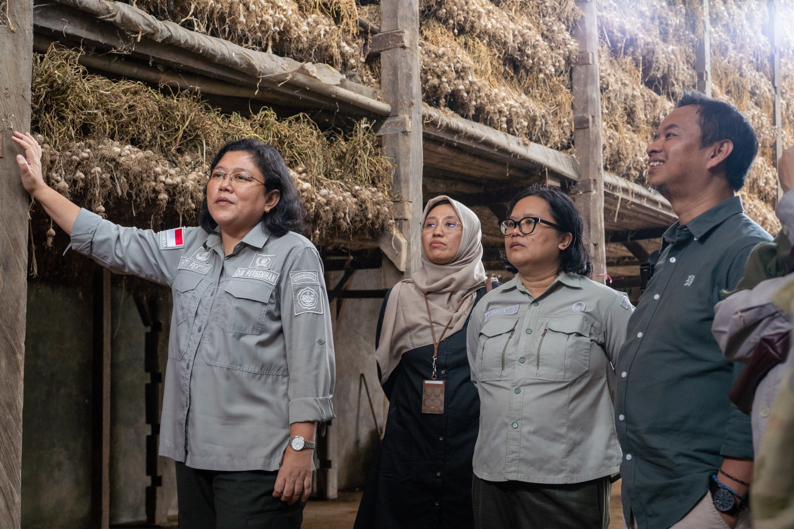 Sukses Swakelola Produksi Benih Bawang Putih di Tegal