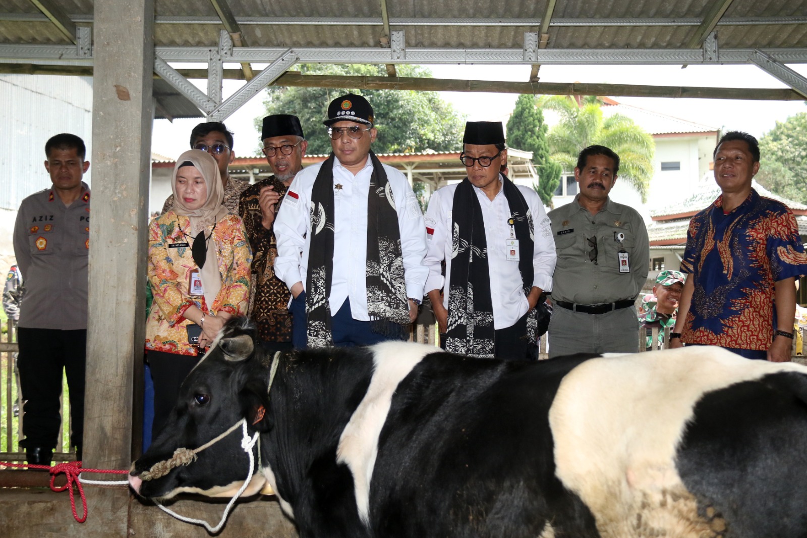 Wamentan Harap Pasuruan Tingkatkan Populasi Sapi Perah lewat KUD