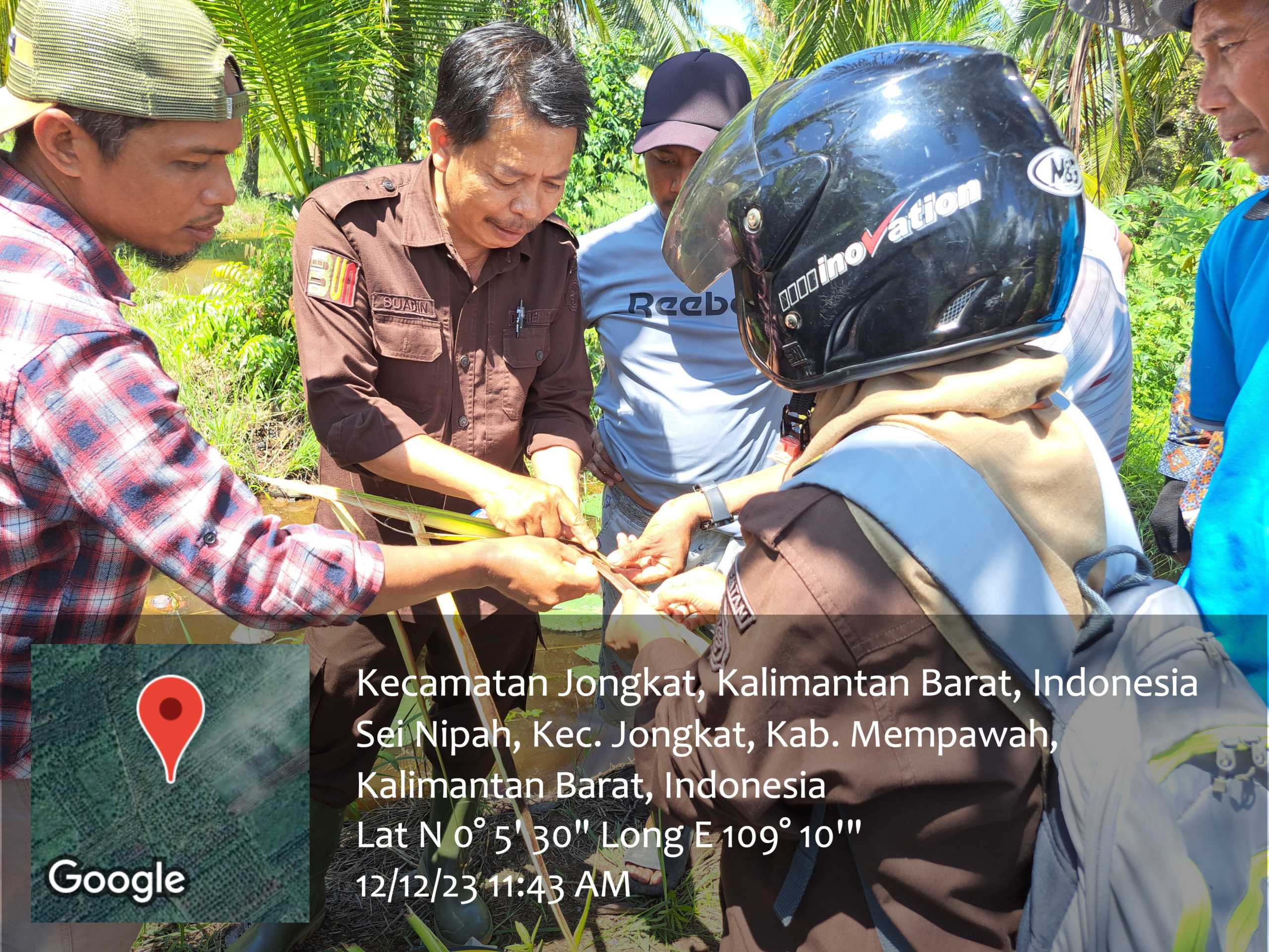 Kementan Dorong Pekebun Tingkatkan Produksi Tanaman Perkebunan