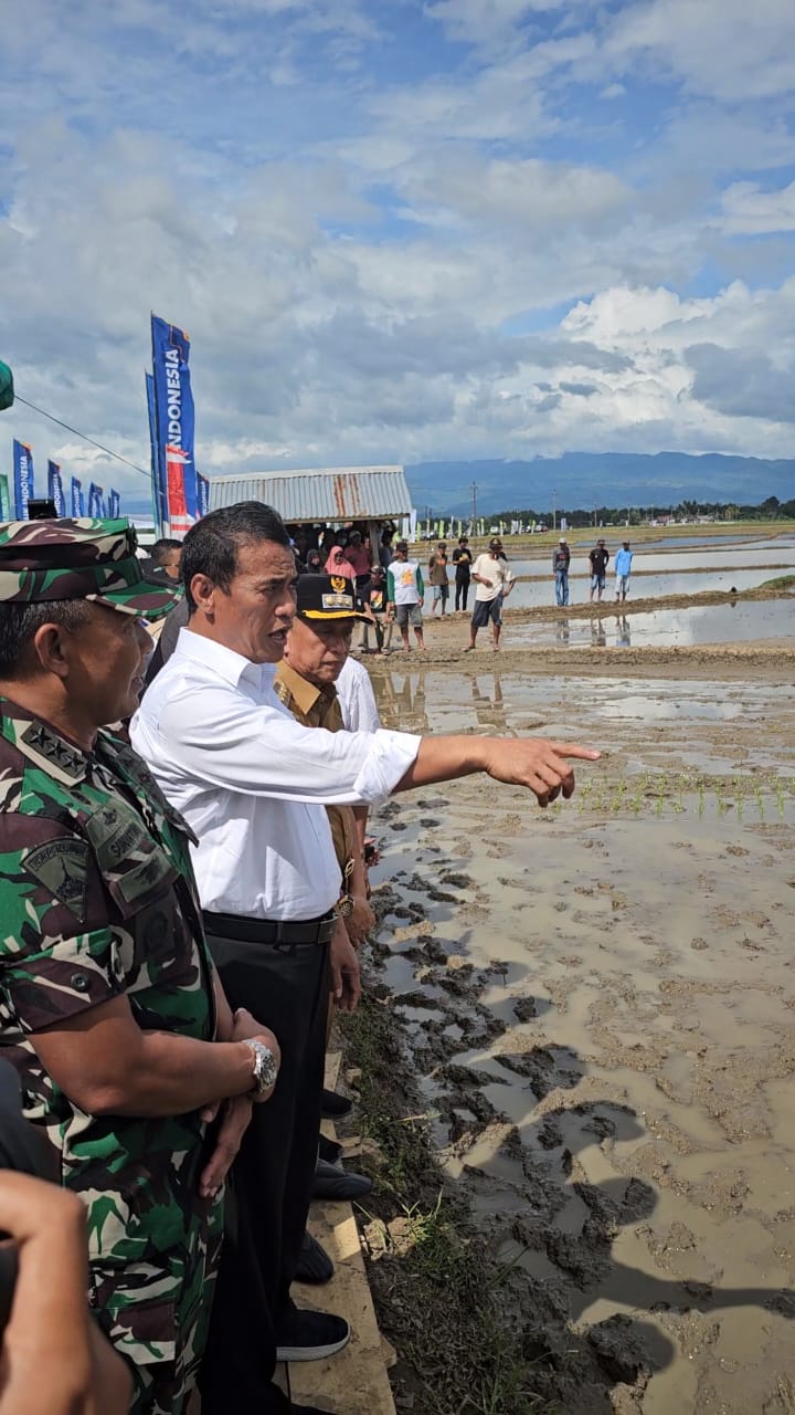 Mentan Amran Tanam Padi Di Bone,Saya Turun Untuk Selesaikan Masalah