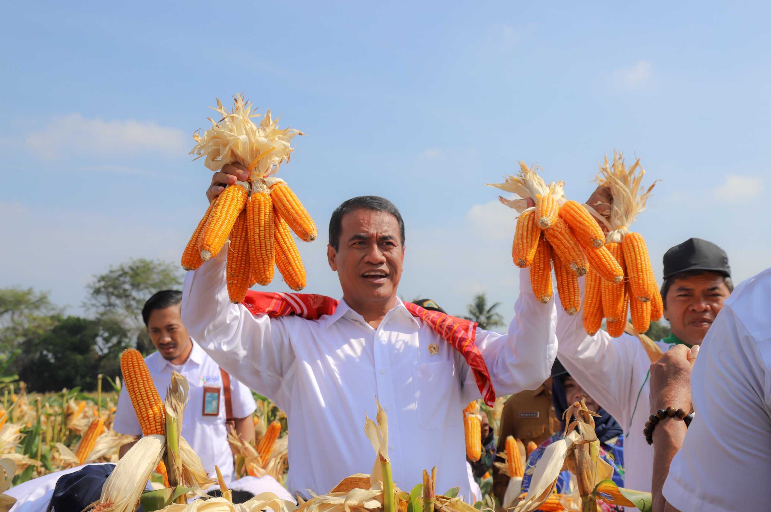 Mentan Amran Panen Dan Tanam Jagung Di Sumut,Jangan Buat Sulit Petani Pasti Kita Swasembada