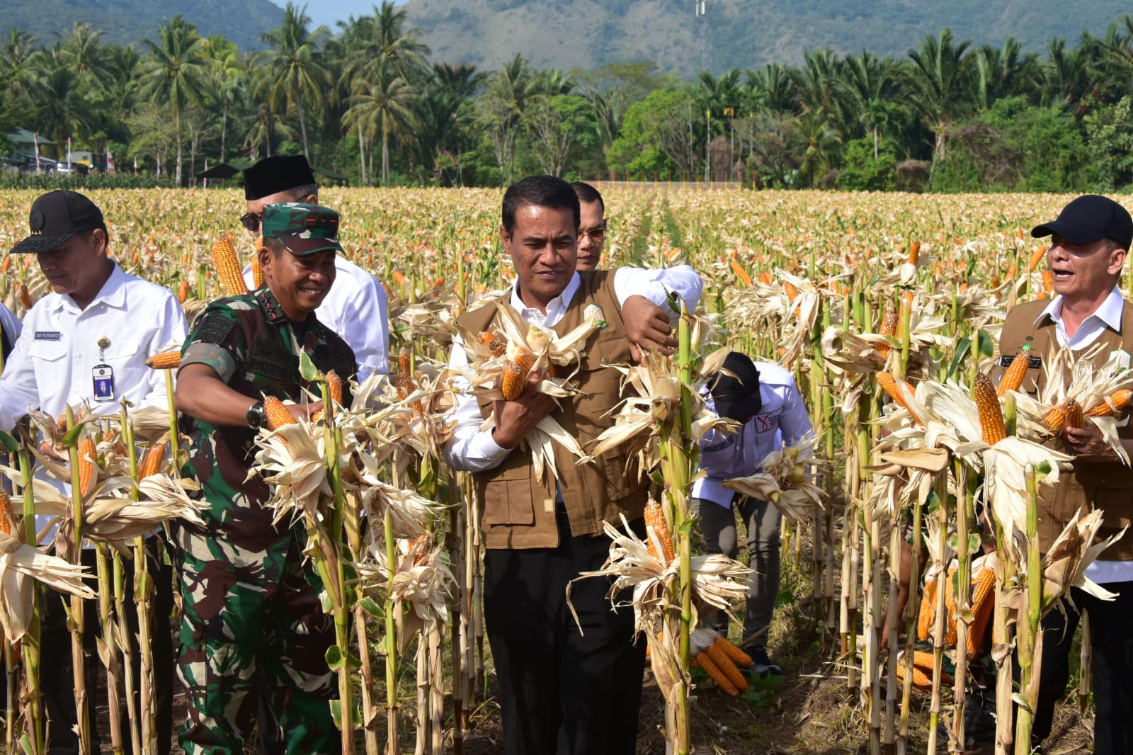 Kolaborasi Kementan-TNI Percepat Swasembada, Mentan Amran Panen dan Tanam Jagung di Aceh