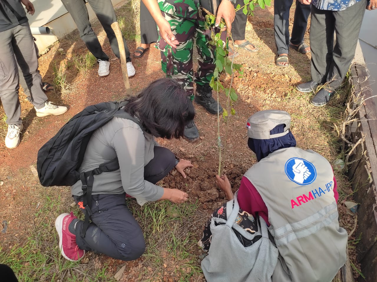 GALAKKAN KESIAPSIAGAAN DAN MITIGASI BENCANA, ARM HA-IPB KALSEL TANAM POHON DI KABUPATEN BANJAR