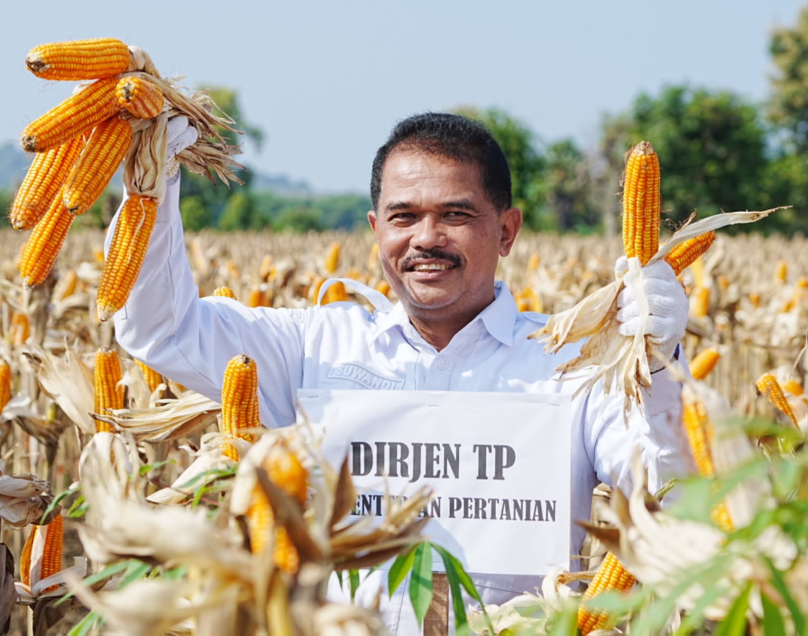 Kementan Sebut Panen Raya Jagung di Tuban Capaian Luar Biasa
