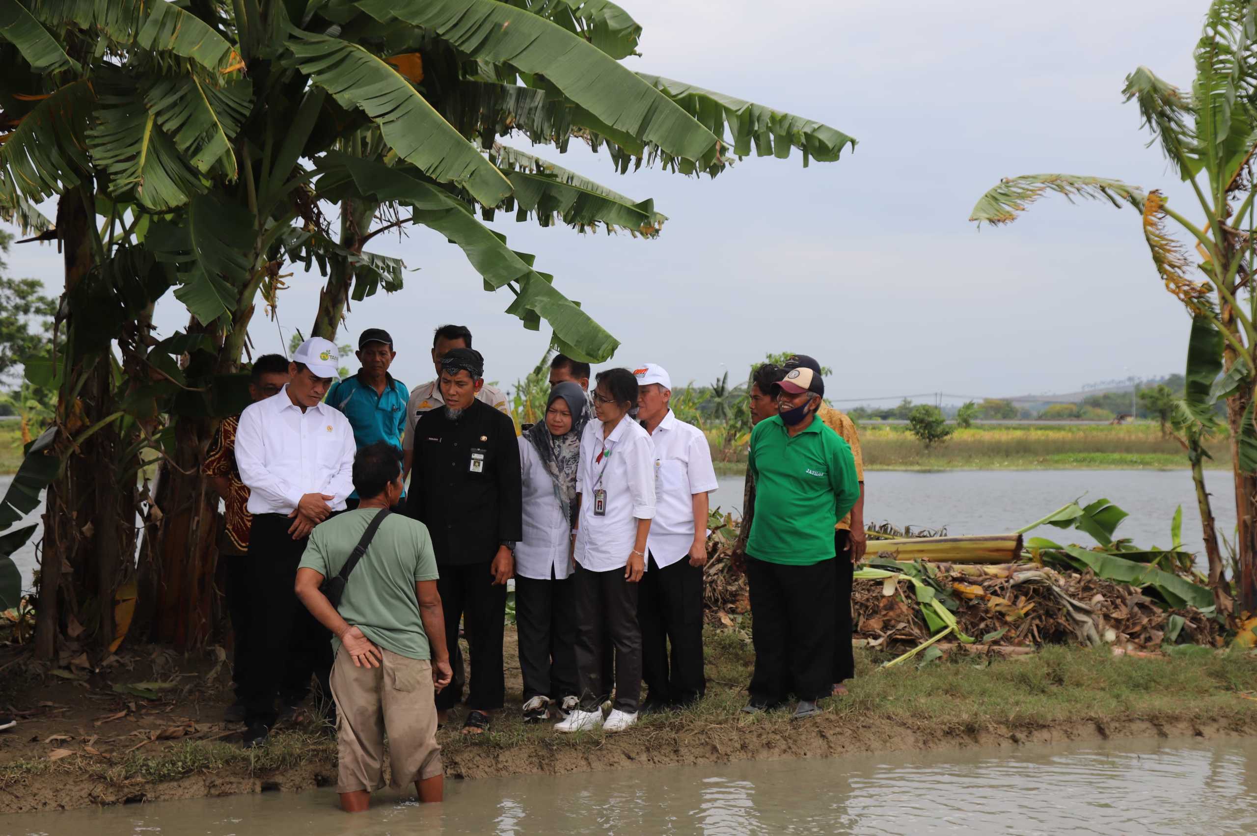 Mentan Amran Pastikan Tambahan Anggaran Peningkatan Produksi dan Pupuk Bersubsidi Segera Realisasi