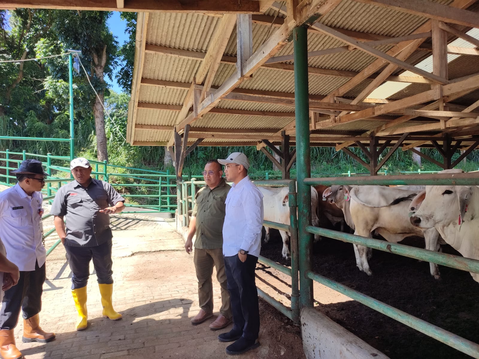 Pemprov Banten Pastikan Kebutuhan Daging Jelang Lebaran Melimpah