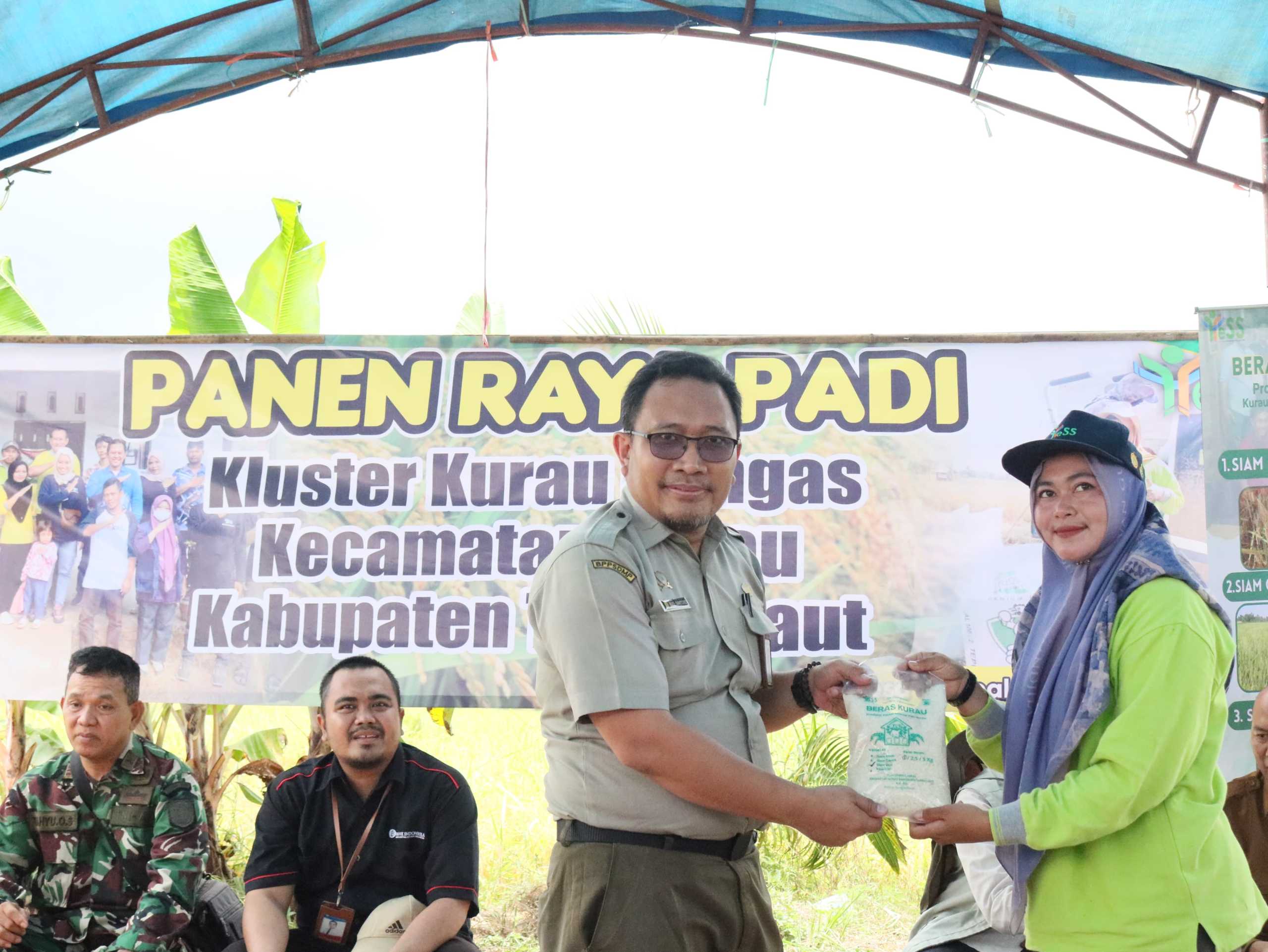 Dukung Ketahanan Pangan, Petani Tanah Laut Lakukan Panen Raya Padi Lokal