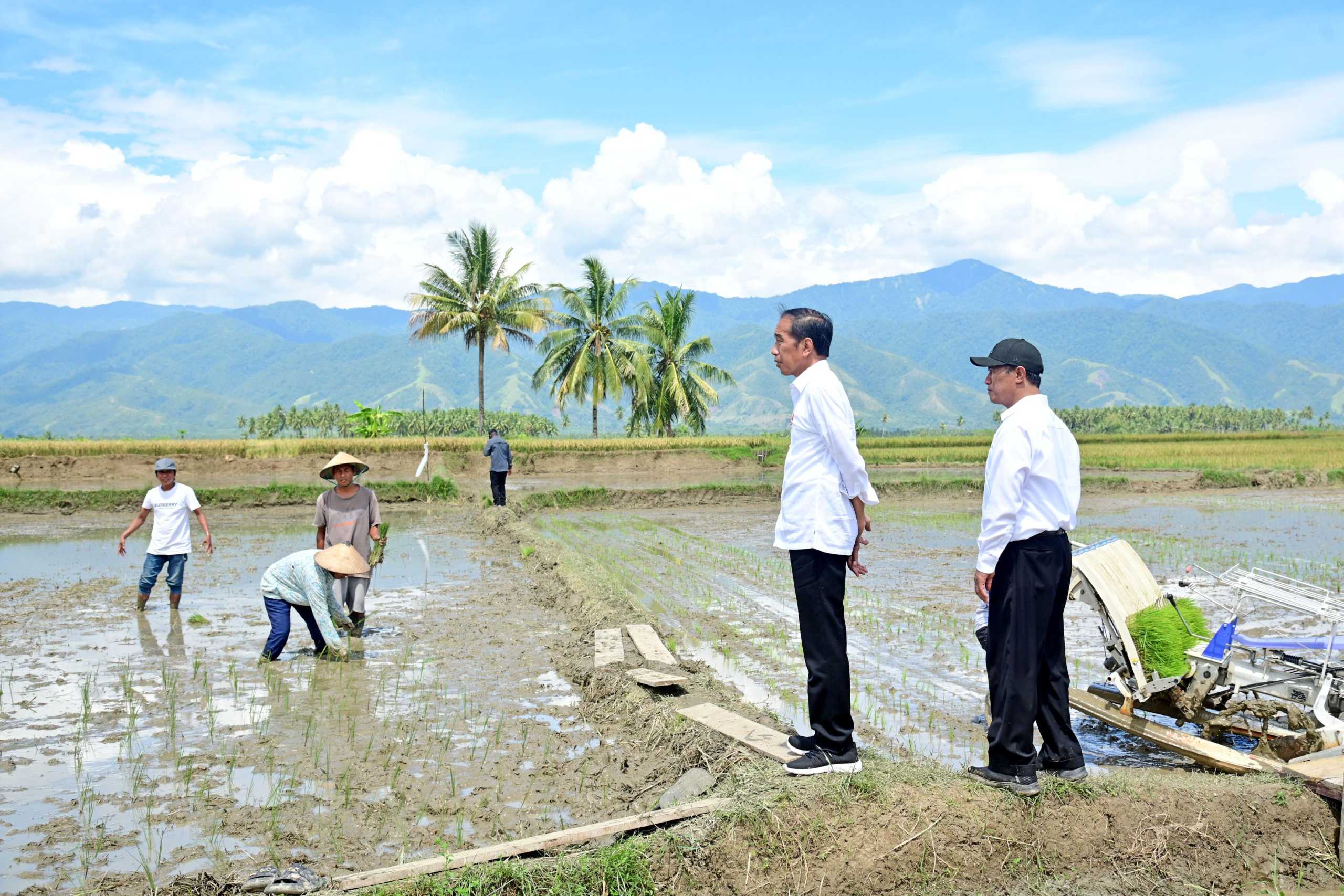 Mentan Pastikan Pemerintah Kawal Stok Pangan Nasional