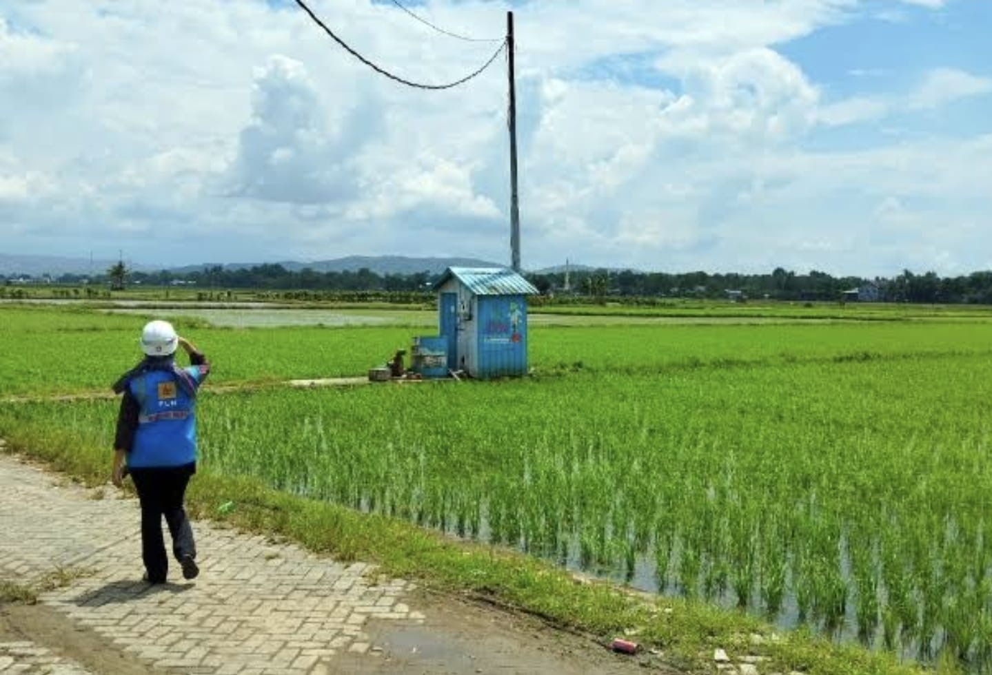 Dukung Program Pompanisasi, Kementan Gencarkan Listrik Masuk Sawah