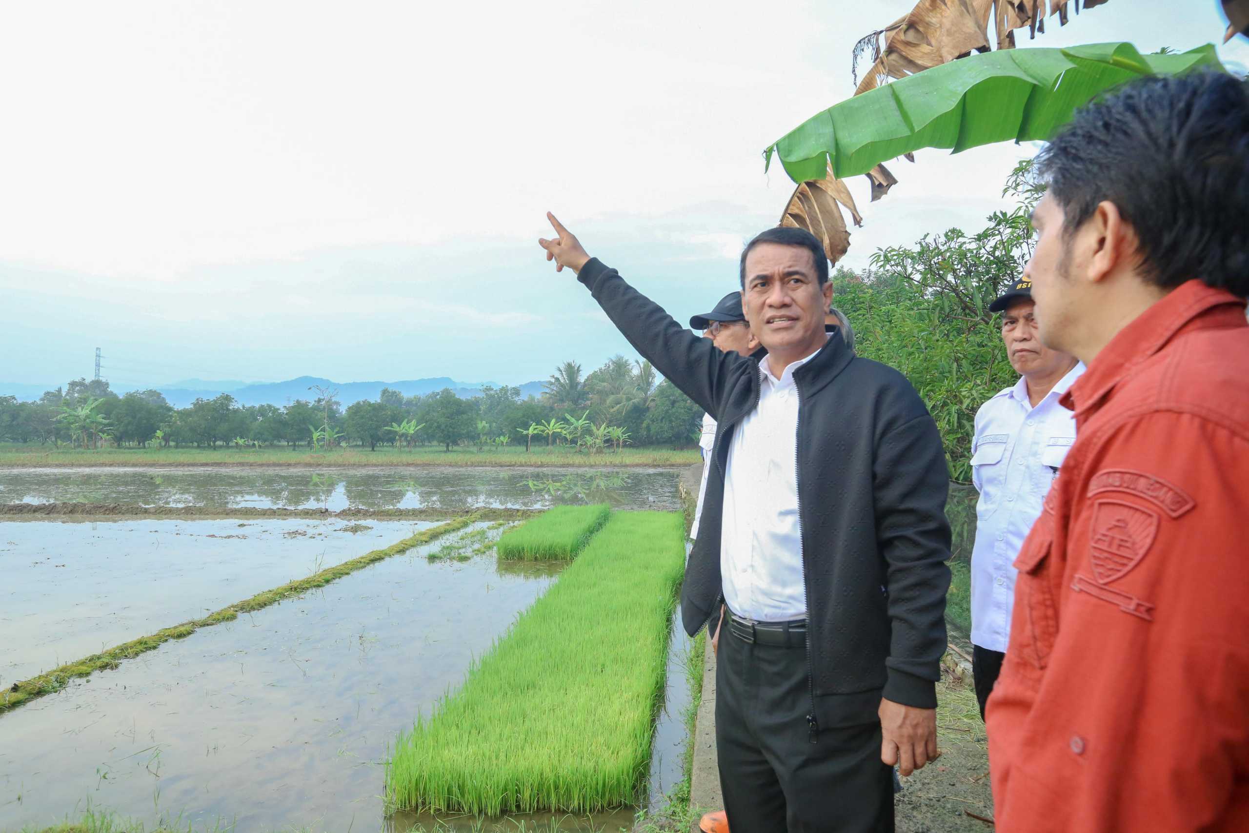 Program Pompanisasi, Kementan Siap Airi 300.000 Hektare Sawah di Sumedang