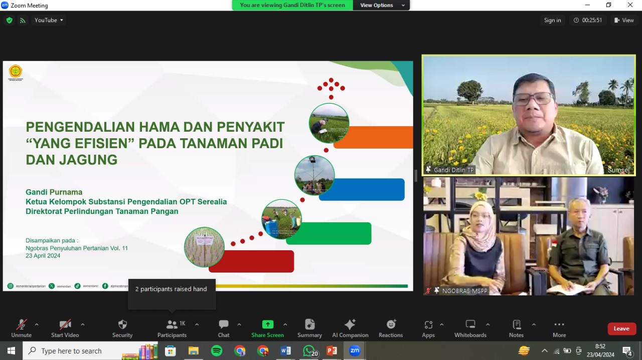 Di Ngobras, Kementan Sosialisasikan Pengendalian Hama Penyakit Yang Efisien Pada Padi dan Jagung