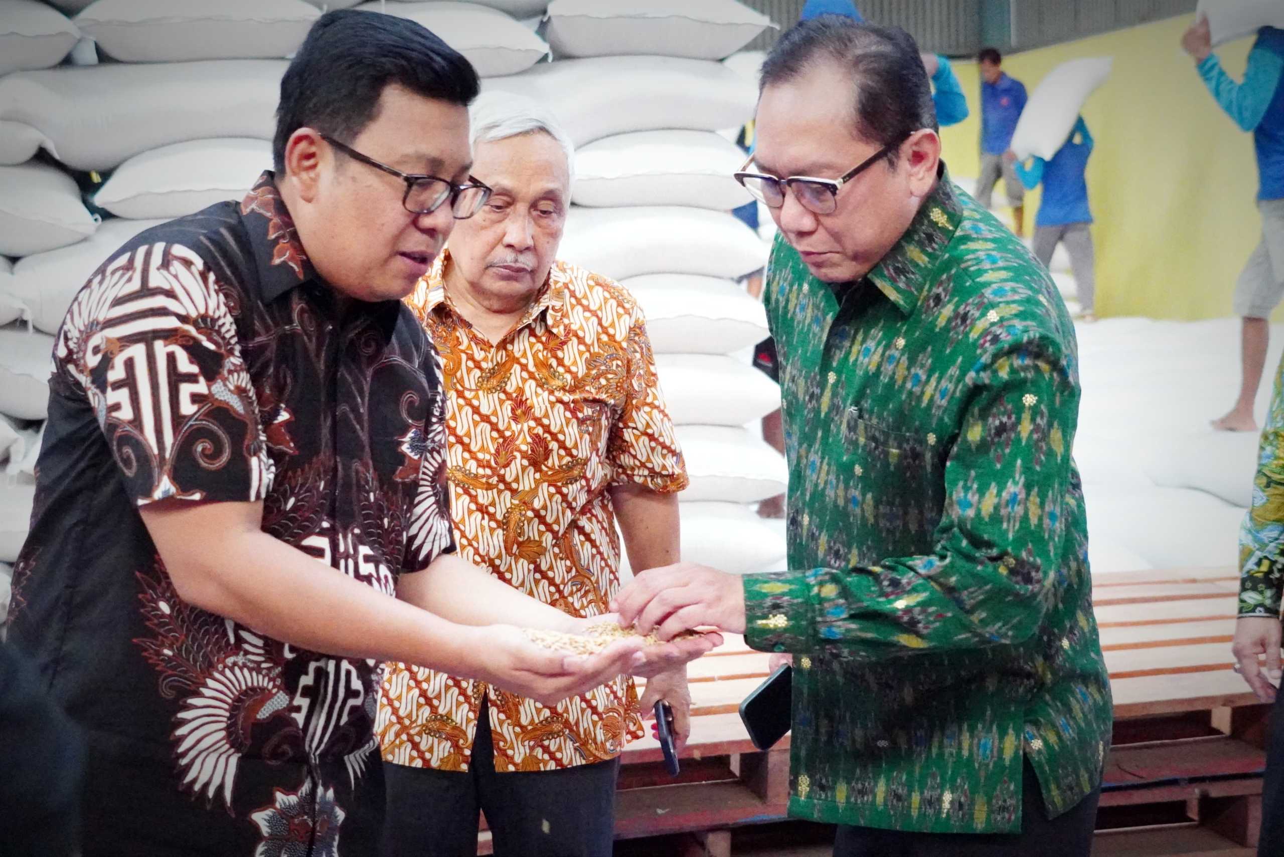 NFA Dorong Optimalisasi Panen Raya untuk Mengisi Stok CBP
