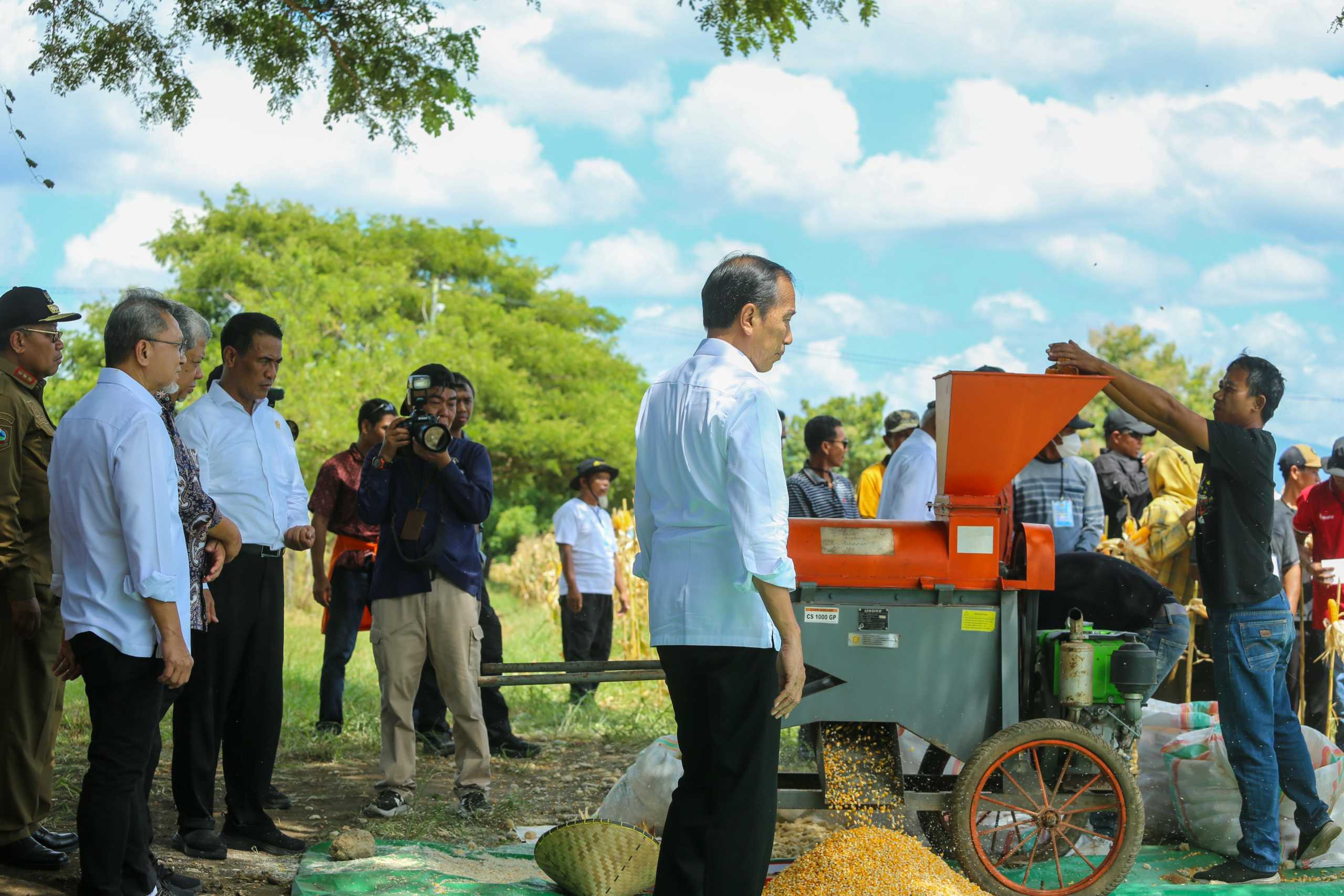 Presiden Panen Jagung bersama Mentan di Sumbawa, Jokowi Tekankan Keseimbangan Harga