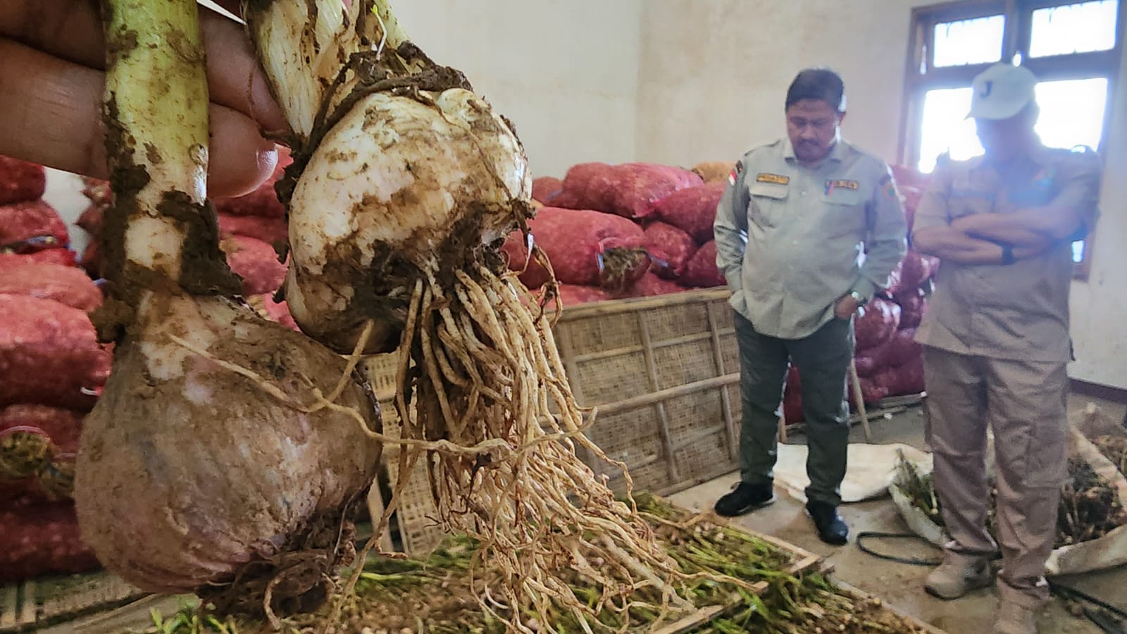Sekitar 100 pelaku usaha impor bawang putih, penerima Rekomendasi Impor Produk Hortikultura (RIPH) tahun 2023–2024